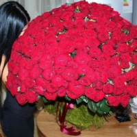 Купить 51 розу 101 роза 50.60.70.80 см. по Москве