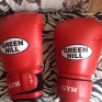 Боксёрские перчатки Green Hill